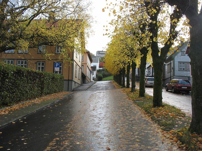 21.10.2008 615.jpg